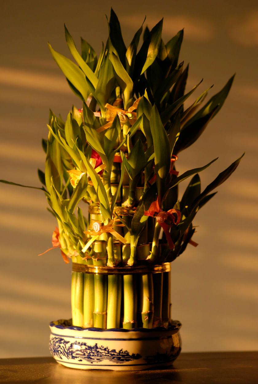 To learn more about farming, click the link below to visit Kisan Vedika . Get valuable information for your agriculture journey!