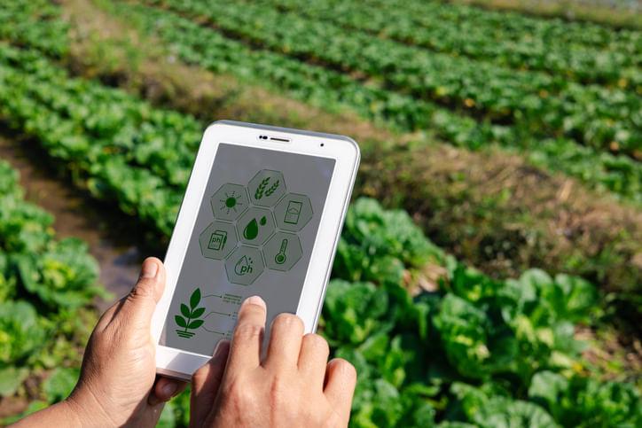 Smart Farming in Action: 5 Tools Changing the Way We Grow