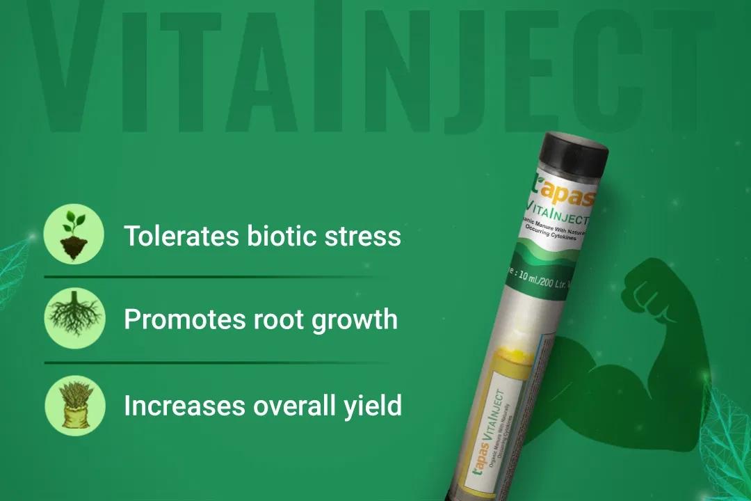 TAPAS VITA INJECT - GROWTH REGULATORS Image 2 TAPAS VITA INJECT - GROWTH REGULATORS Image 2