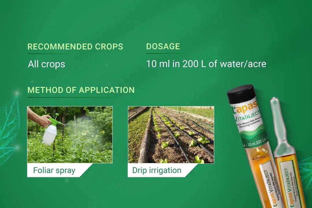 TAPAS VITA INJECT - GROWTH REGULATORS Image 3 TAPAS VITA INJECT - GROWTH REGULATORS Image 3