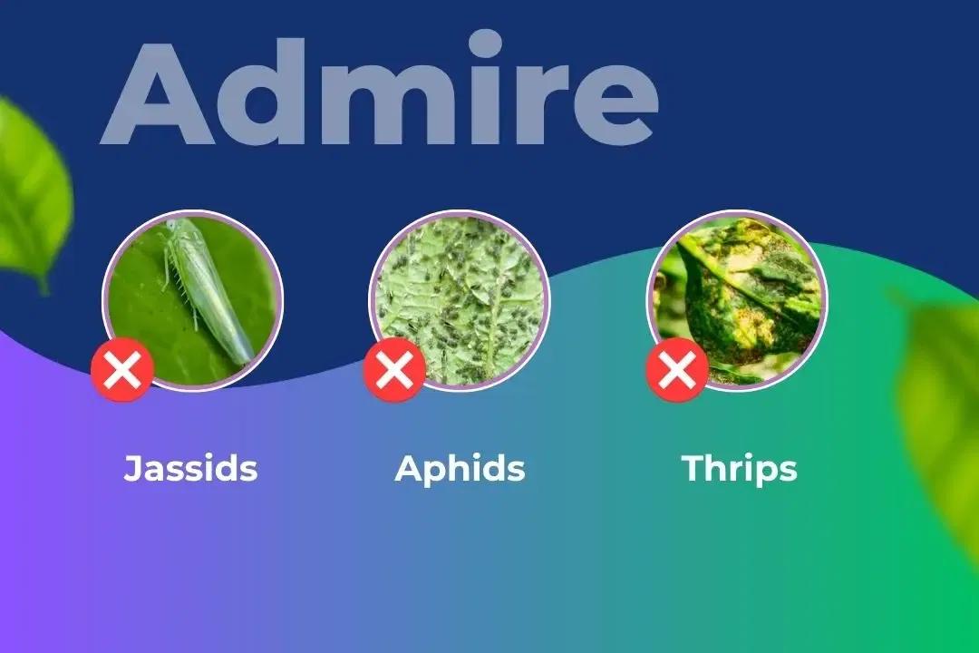 Admire Insecticide Target Pest Admire Insecticide Target Pest