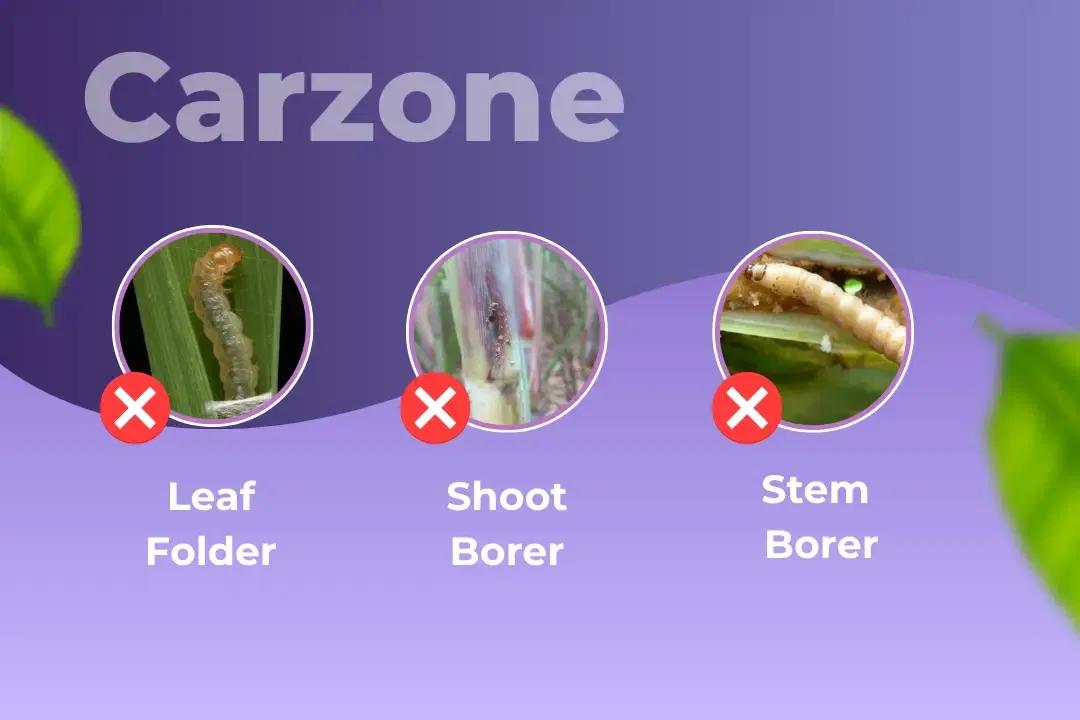 Agriventure Carzone Insecticide Target Pest Agriventure Carzone Insecticide Target Pest