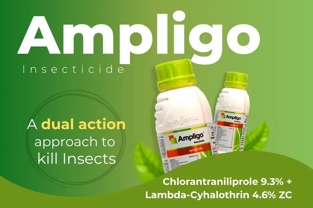 Ampligo Insecticide Technical Name Ampligo Insecticide Technical Name