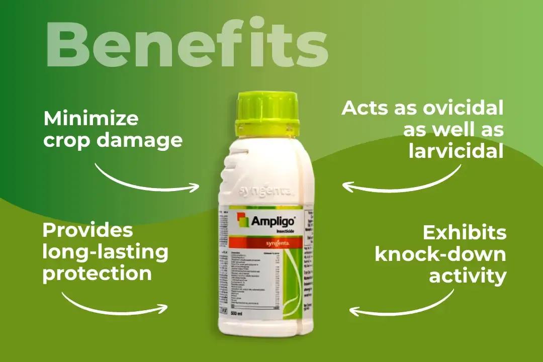 Ampligo Insecticide Benefits Ampligo Insecticide Benefits