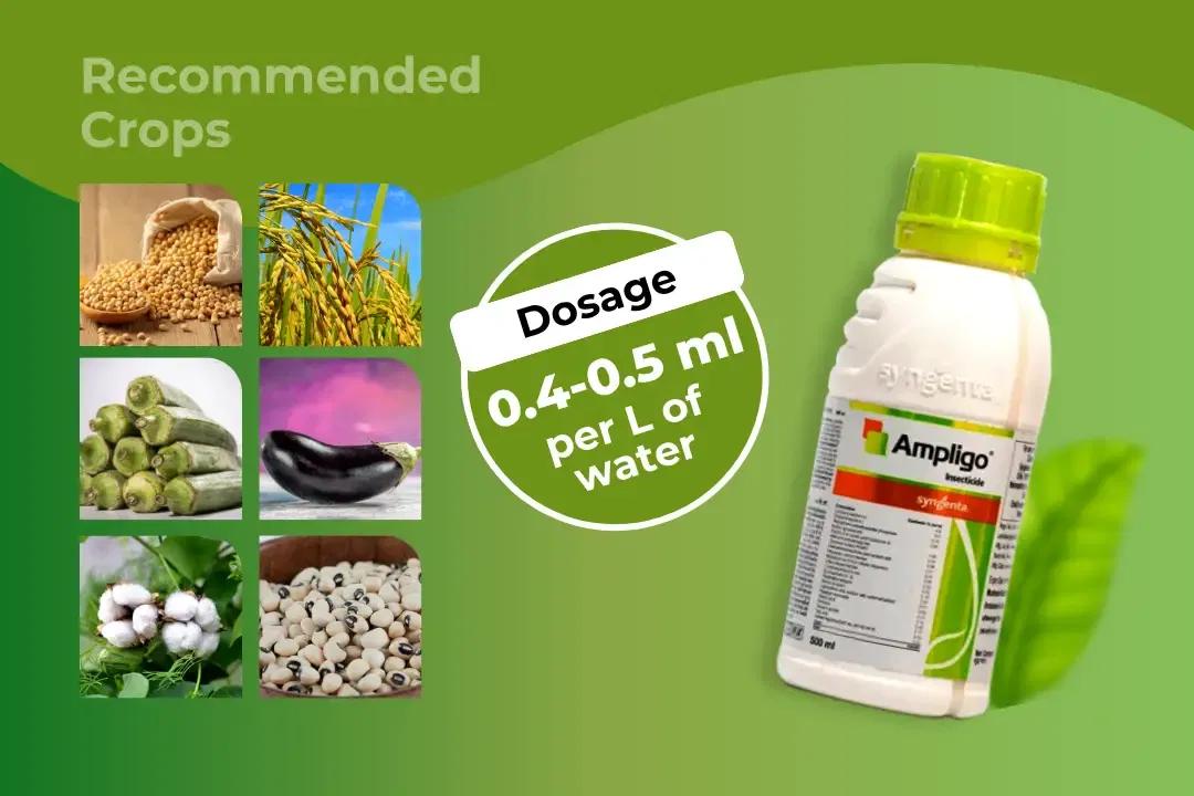Ampligo Insecticide Dosage Per Litre And Recommended Crops Ampligo Insecticide Dosage Per Litre And Recommended Crops