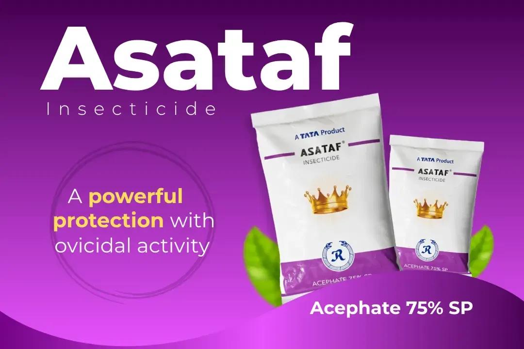 Asataf Insecticide Technical Name Asataf Insecticide Technical Name