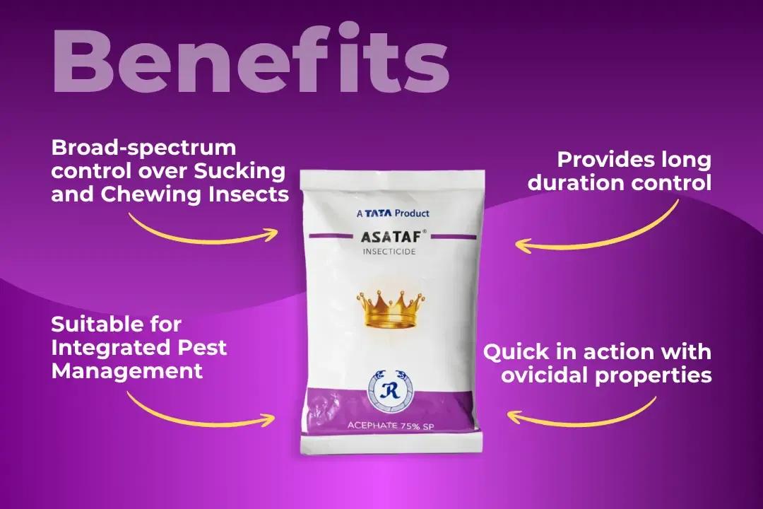 Asataf Insecticide Benefits Asataf Insecticide Benefits
