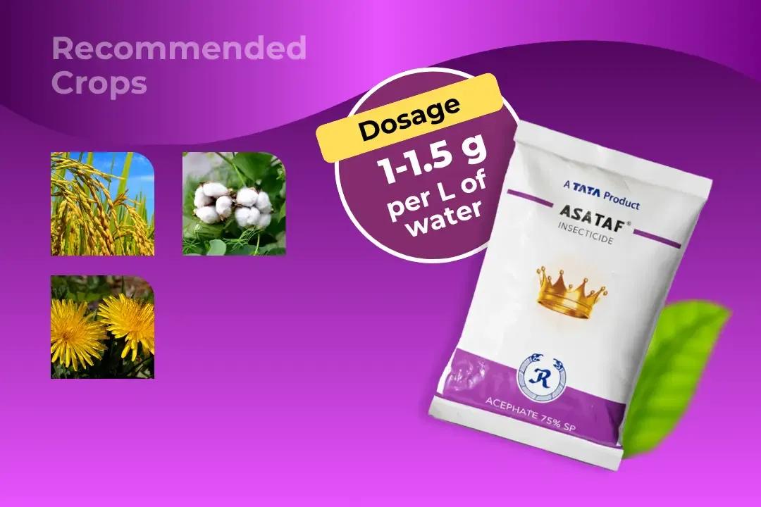 Asataf Insecticide Dosage Per Litre And Recommended Crops Asataf Insecticide Dosage Per Litre And Recommended Crops
