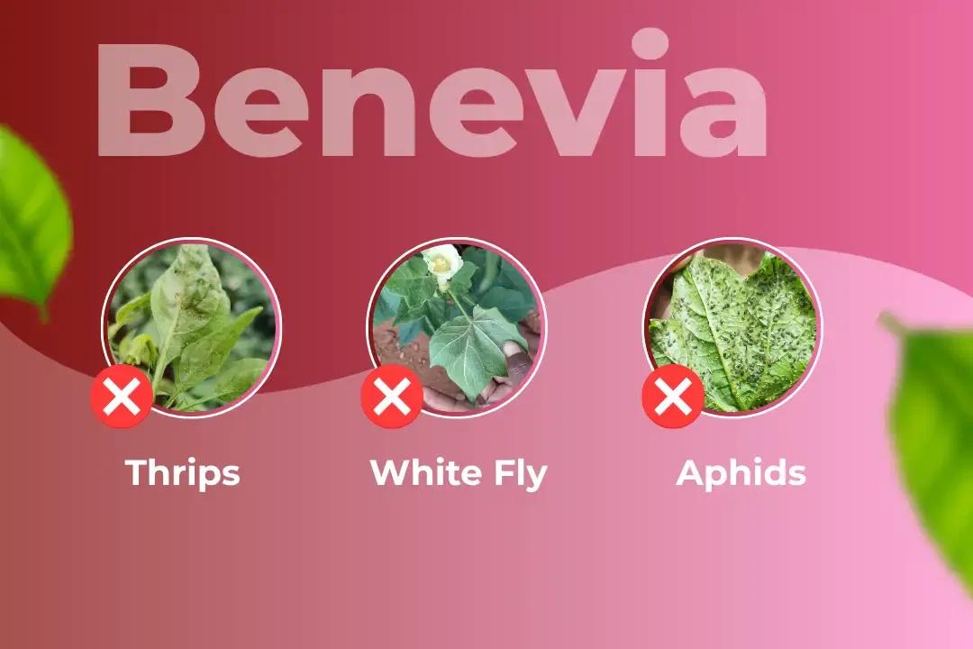 Benevia Insecticide Target Pest Benevia Insecticide Target Pest