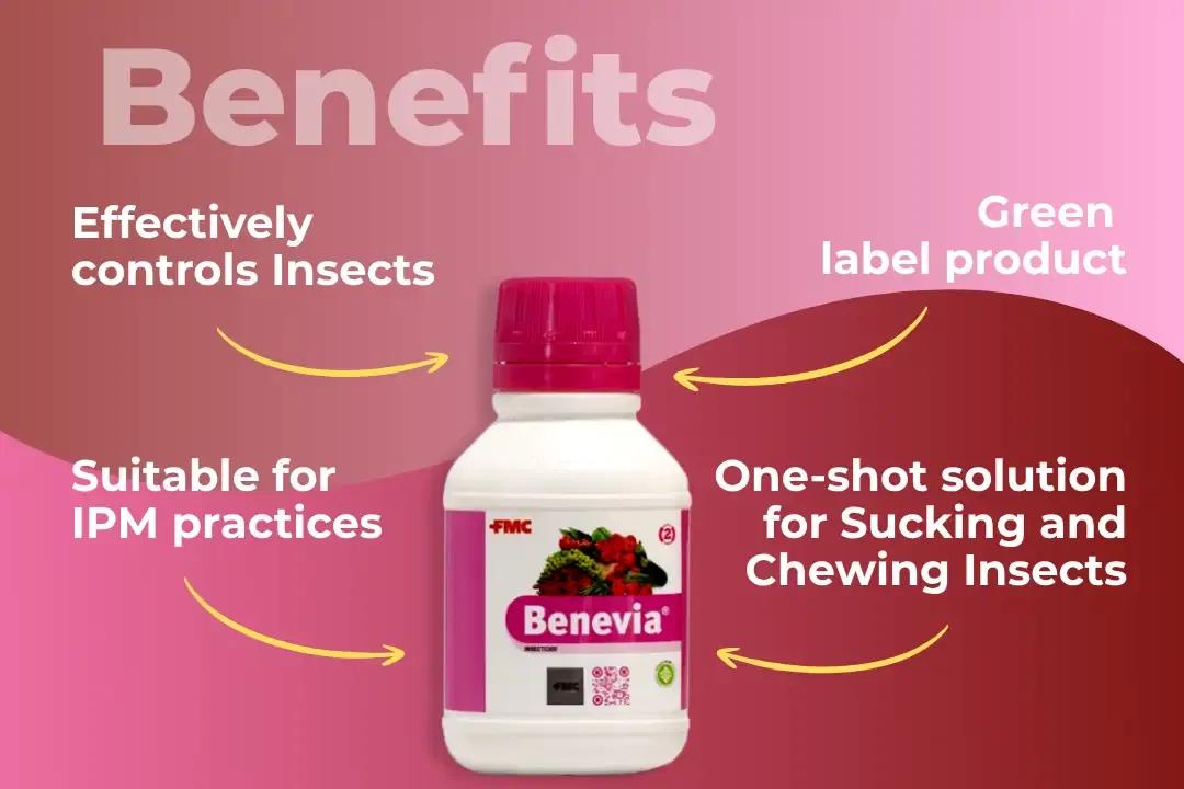 Benevia Insecticide Benefits Benevia Insecticide Benefits