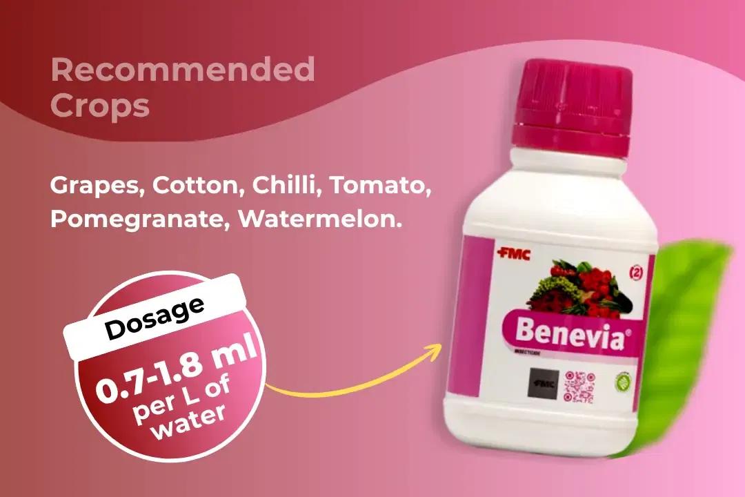 Benevia Insecticide Dosage Per Litre And Recommended Crops Benevia Insecticide Dosage Per Litre And Recommended Crops