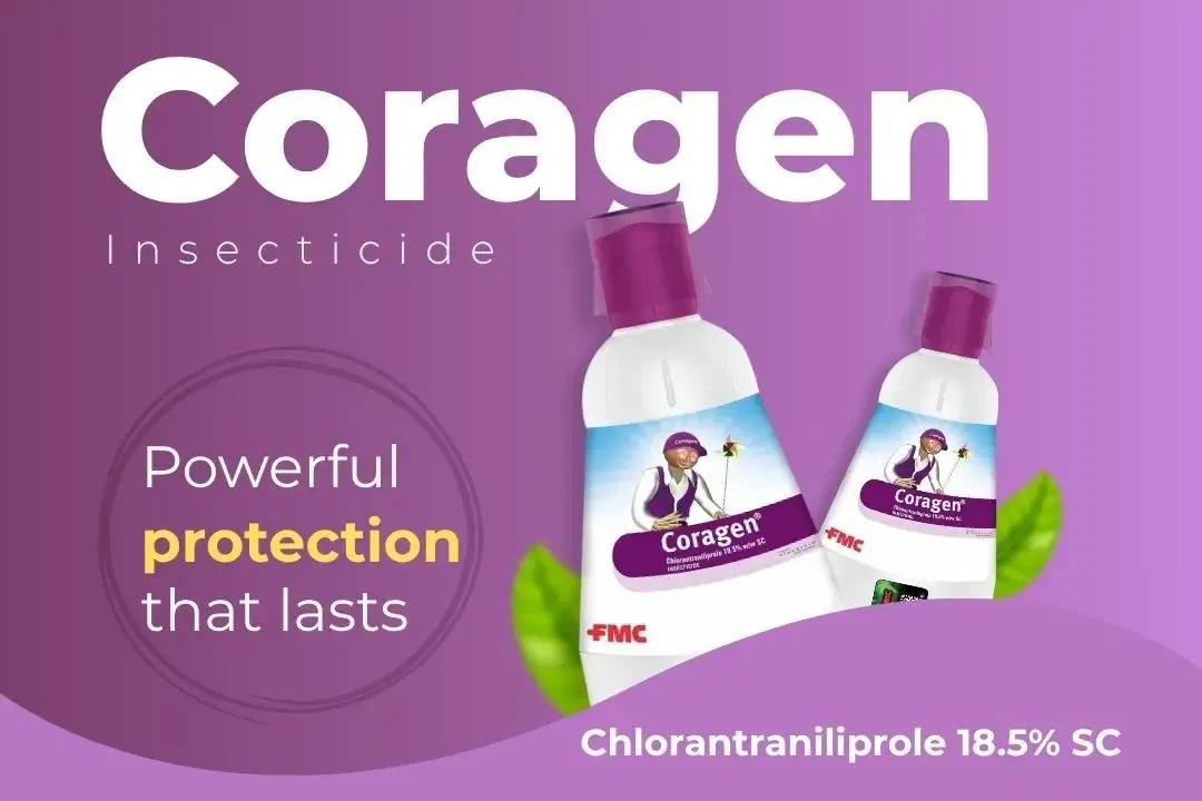 Coragen Insecticide Technical Name Coragen Insecticide Technical Name