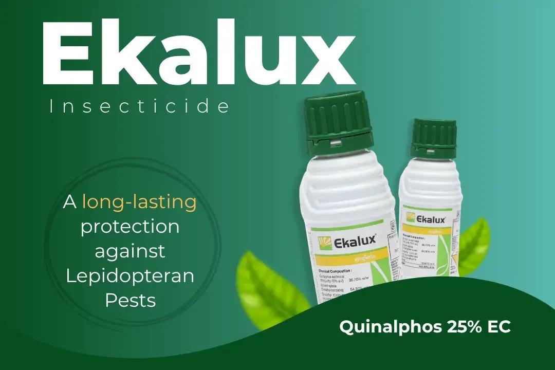 Ekalux Insecticide Technical Name Ekalux Insecticide Technical Name