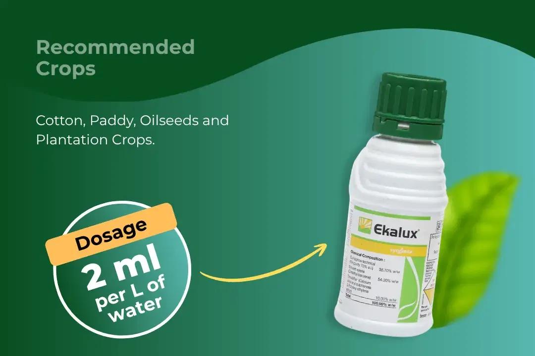 Ekalux Insecticide Dosage Per Litre And Recommended Crops Ekalux Insecticide Dosage Per Litre And Recommended Crops