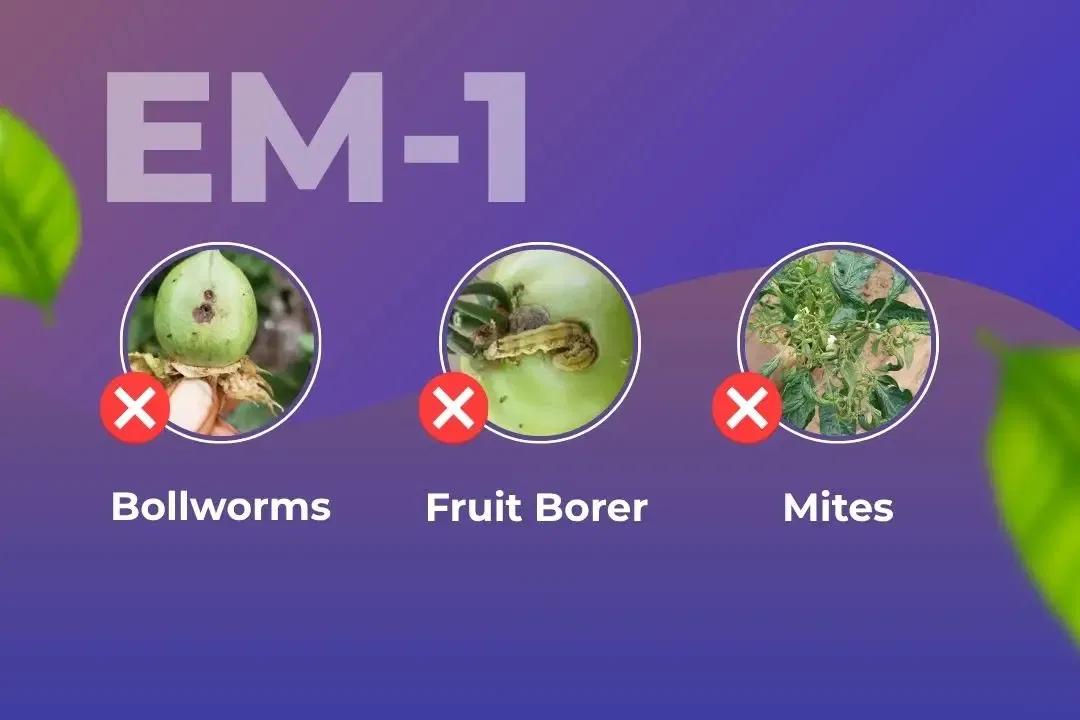 EM-1 Insecticide Target Pest EM-1 Insecticide Target Pest