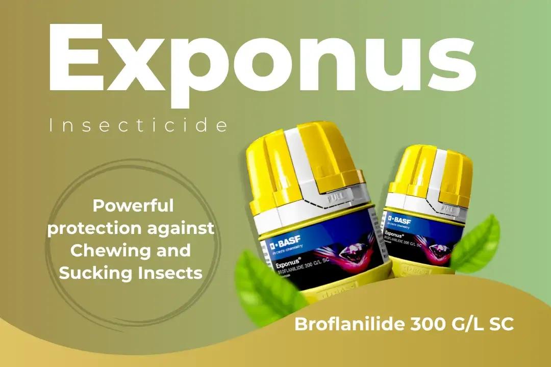 Exponus Insecticide Technical Name Exponus Insecticide Technical Name