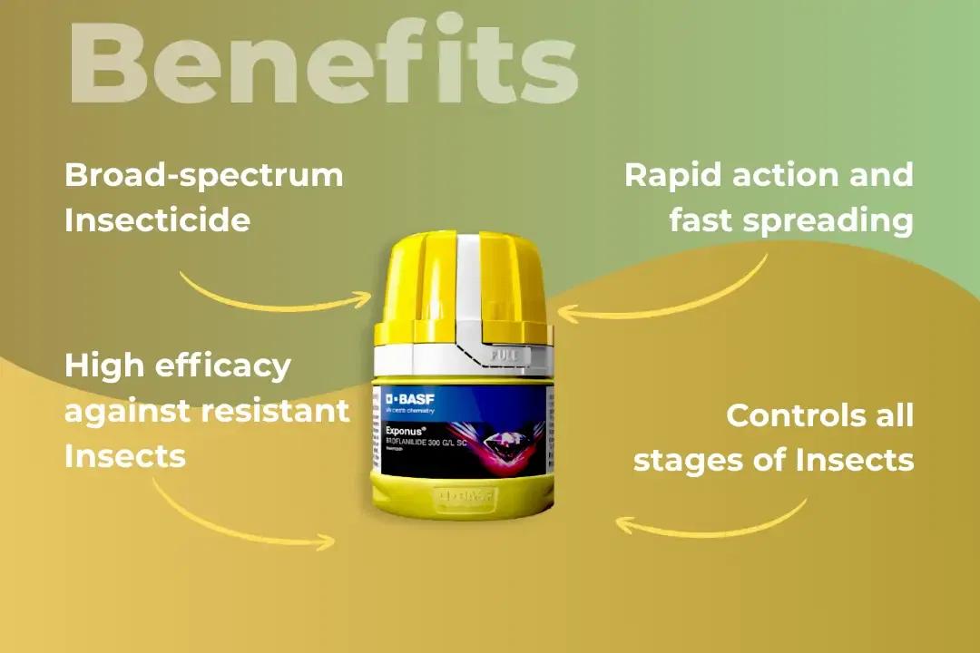 Exponus Insecticide Benefits Exponus Insecticide Benefits