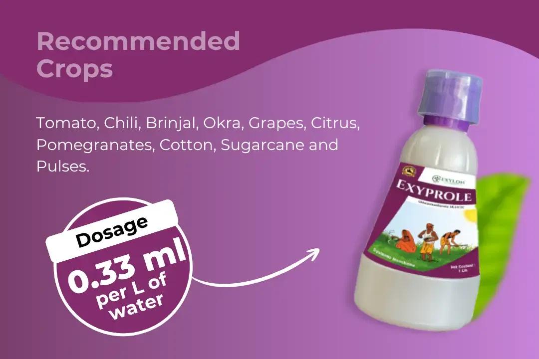 Exylon Exyprole Insecticide Dosage Per Litre And Recommended Crops Exylon Exyprole Insecticide Dosage Per Litre And Recommended Crops