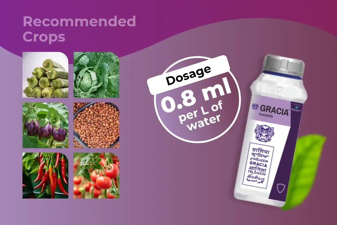 Gracia Insecticide Dosage Per Litre And Recommended Crops Gracia Insecticide Dosage Per Litre And Recommended Crops