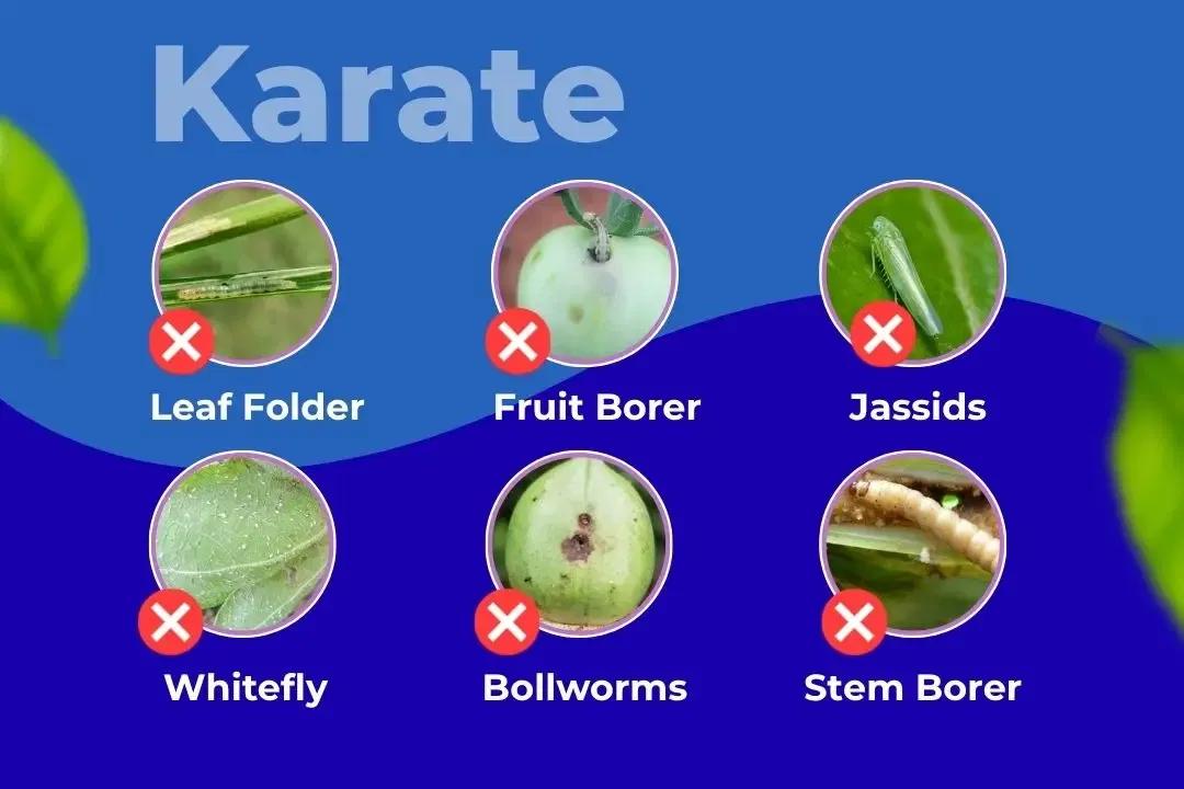 Karate Insecticide Target Pest Karate Insecticide Target Pest