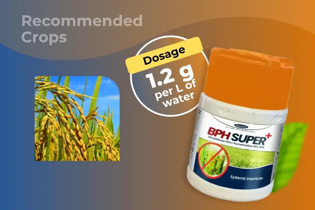 Katyayani Bph Super+ Insecticide Dosage Per Litre And Recommended Crops Katyayani Bph Super+ Insecticide Dosage Per Litre And Recommended Crops