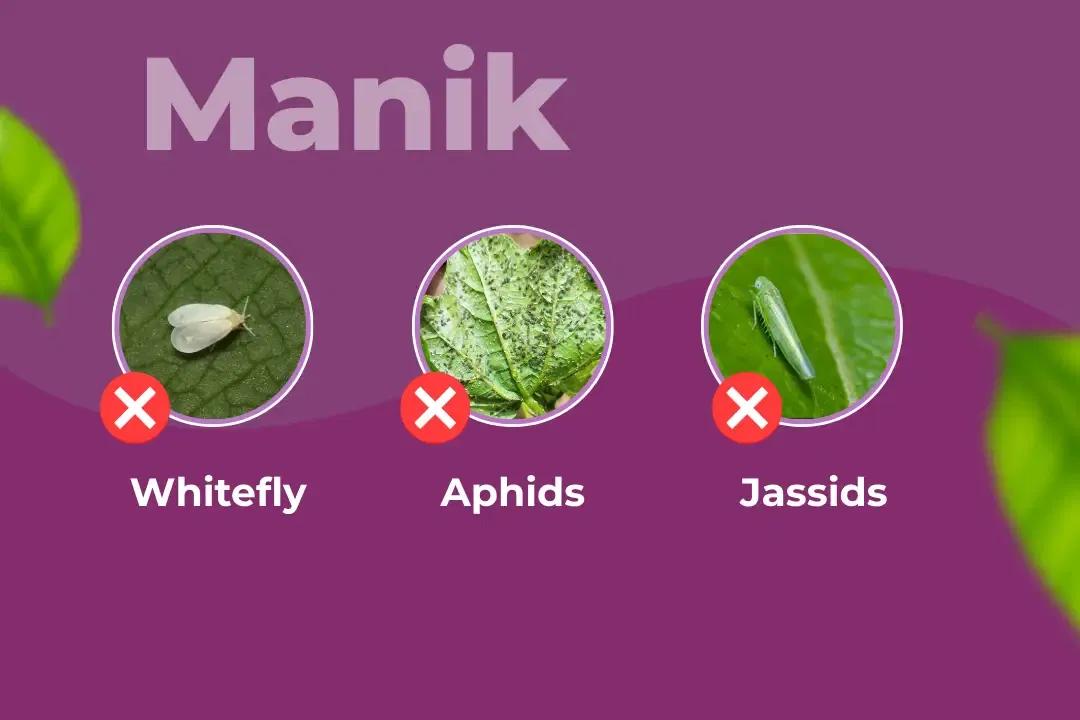 Tata Manik Insecticide Target Pest Tata Manik Insecticide Target Pest