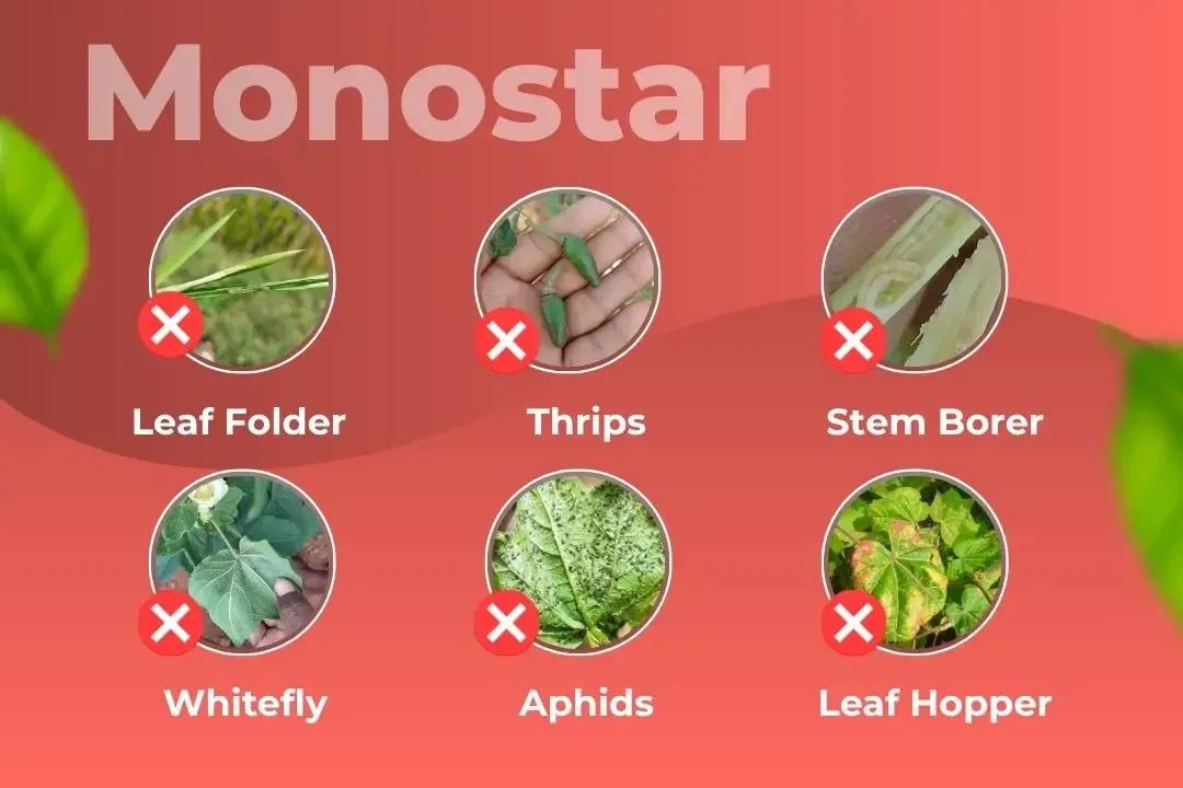 Monostar Insecticide Target Pest Monostar Insecticide Target Pest