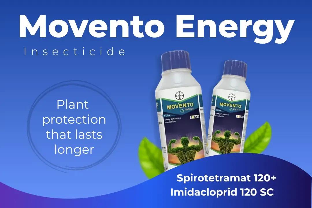 Movento Energy Insecticide Technical Name Movento Energy Insecticide Technical Name