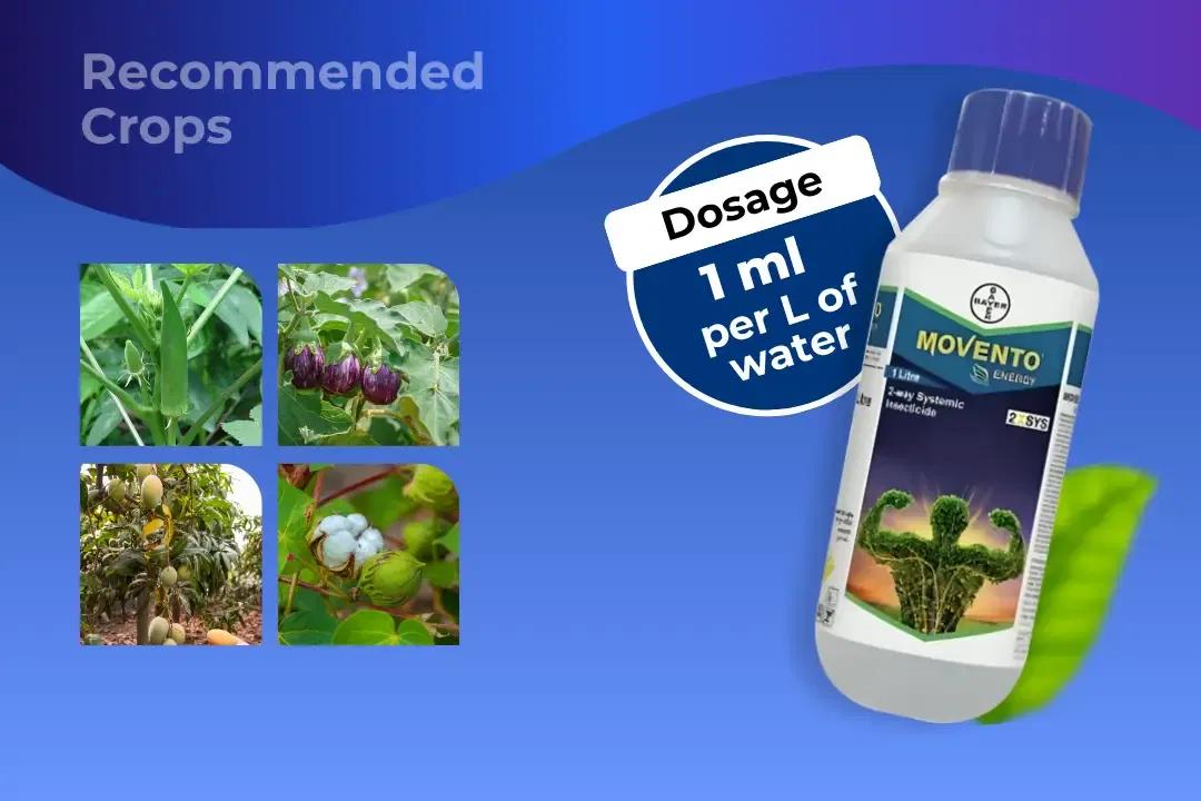 Movento Energy Insecticide Dosage Per Litre And Recommended Crops Movento Energy Insecticide Dosage Per Litre And Recommended Crops