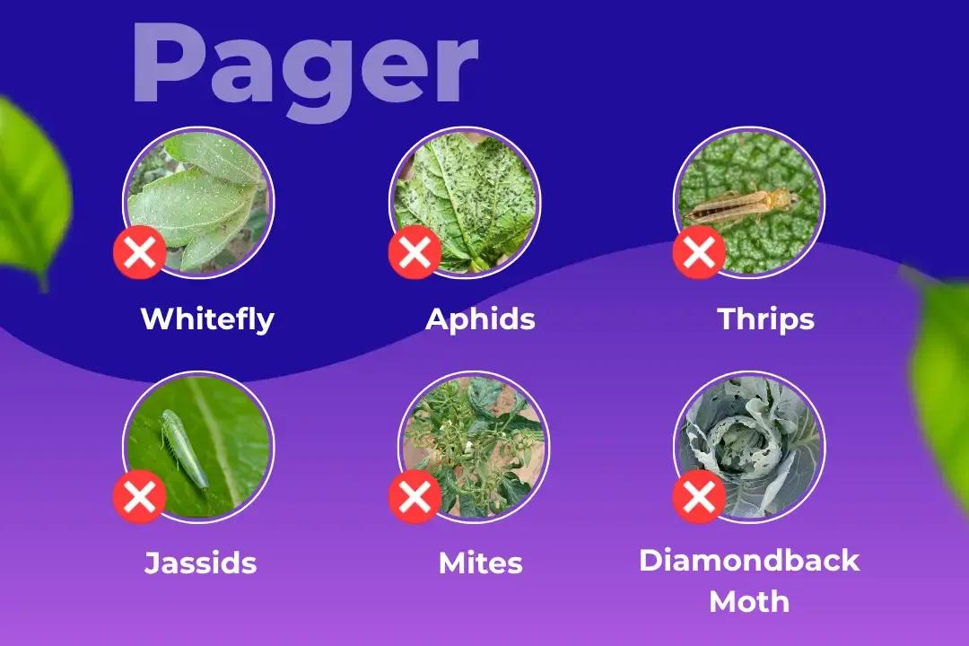 Pager Insecticide Target Pest Pager Insecticide Target Pest