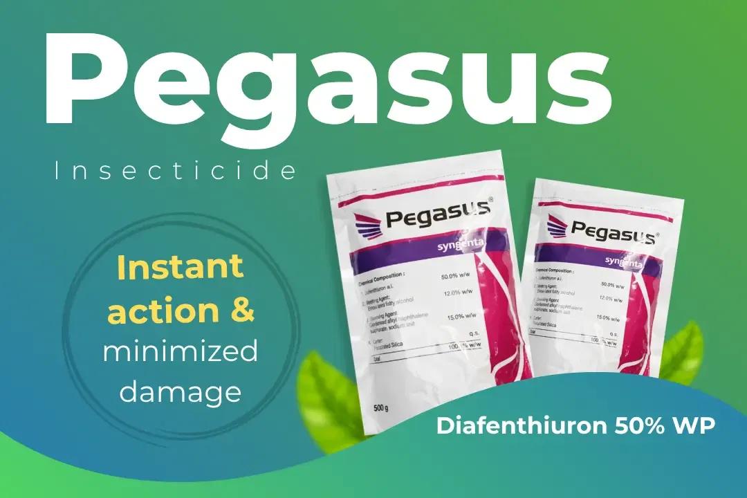 Pegasus Insecticide Technical Name Pegasus Insecticide Technical Name
