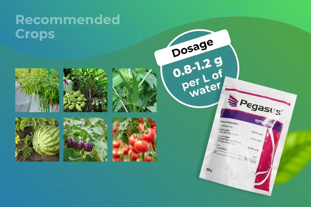Pegasus Insecticide Dosage Per Litre And Recommended Crops Pegasus Insecticide Dosage Per Litre And Recommended Crops