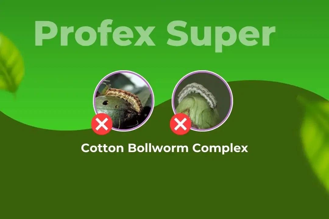 Profex Super Insecticide Target Pest Profex Super Insecticide Target Pest