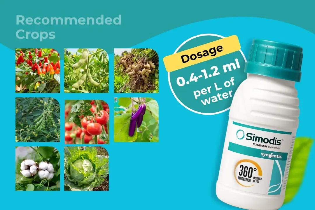 Simodis Insecticide Dosage Per Litre And Recommended Crops Simodis Insecticide Dosage Per Litre And Recommended Crops