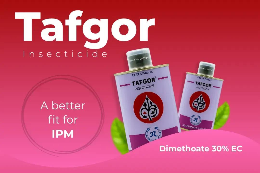 Tafgor Insecticide Technical Name Tafgor Insecticide Technical Name