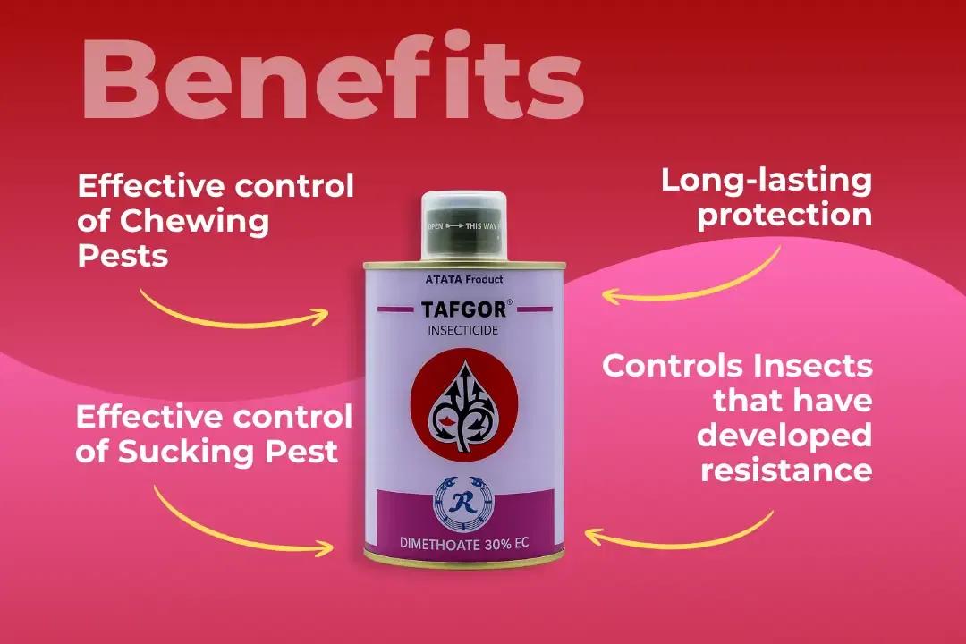 Tafgor Insecticide Benefits Tafgor Insecticide Benefits
