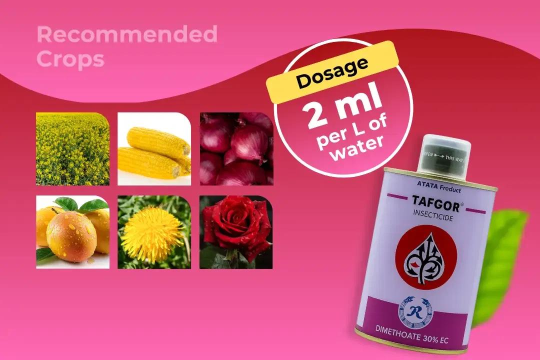 Tafgor Insecticide Dosage Per Litre And Recommended Crops Tafgor Insecticide Dosage Per Litre And Recommended Crops