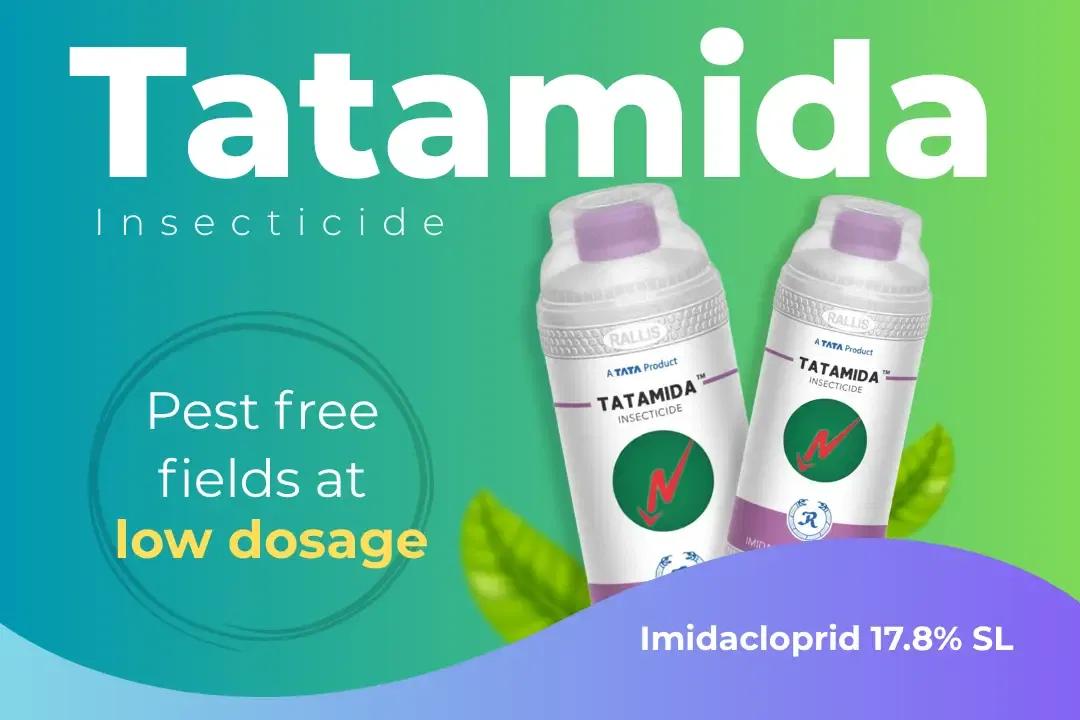 Tatamida Insecticide Technical Name Tatamida Insecticide Technical Name