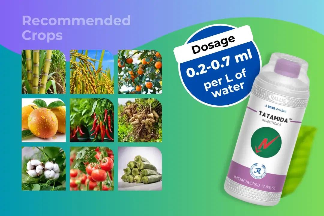 Tatamida Insecticide Dosage Per Litre And Recommended Crops Tatamida Insecticide Dosage Per Litre And Recommended Crops