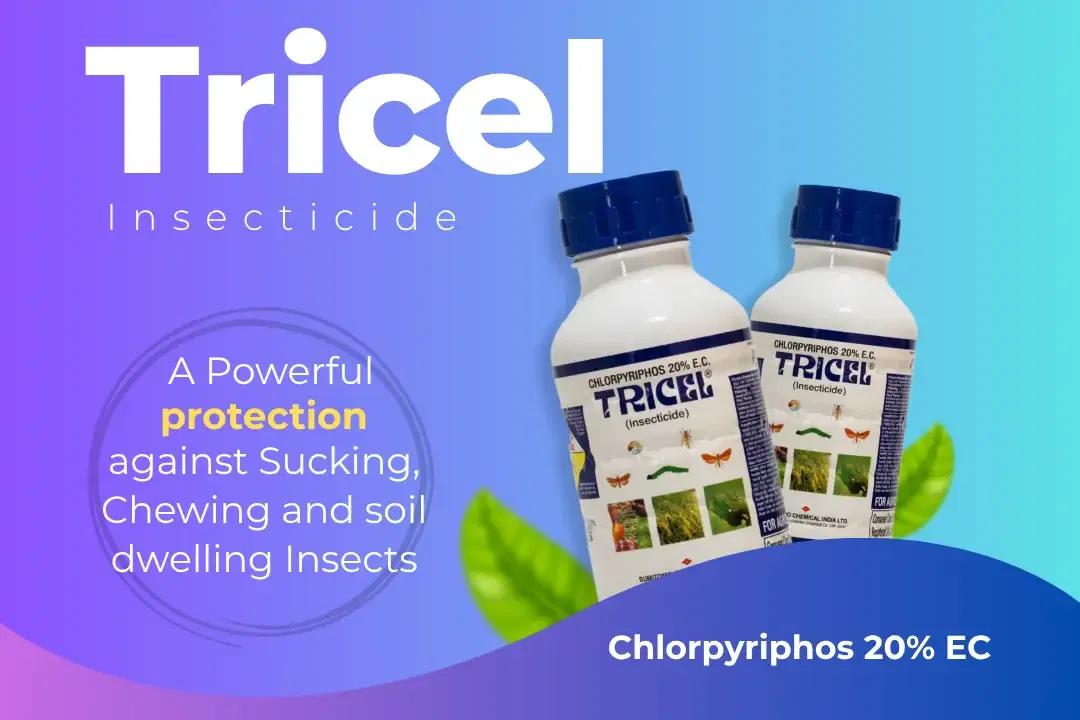 Tricel Insecticide Technical Name Tricel Insecticide Technical Name