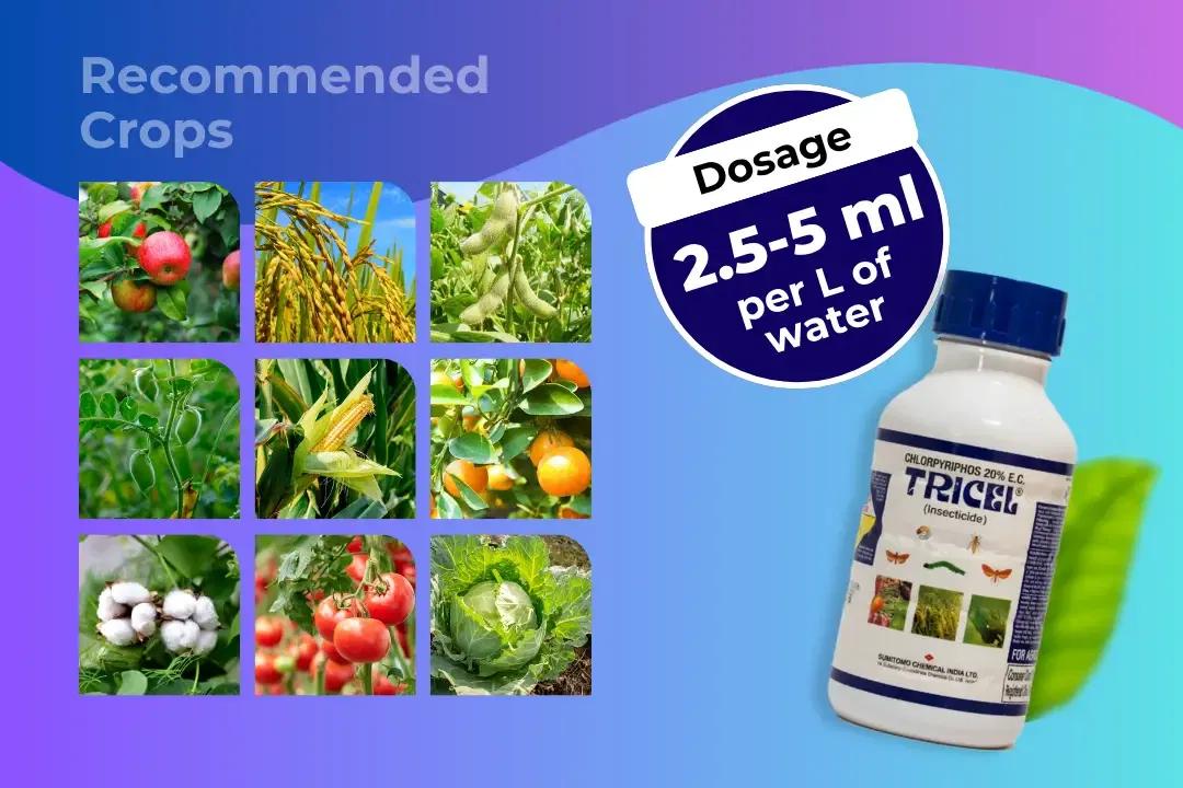 Tricel Insecticide Dosage Per Litre And Recommended Crops Tricel Insecticide Dosage Per Litre And Recommended Crops